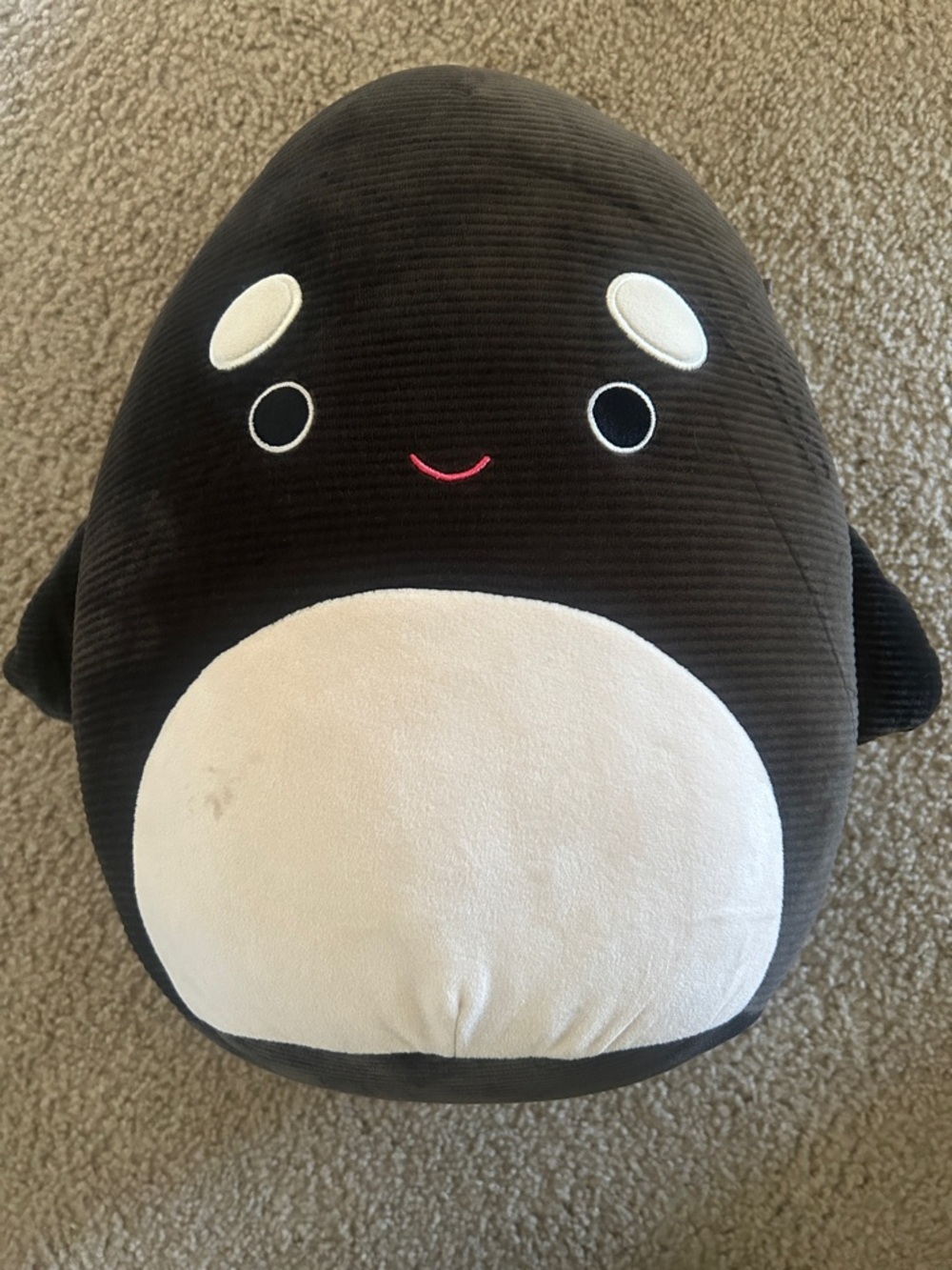 Kai the Orca Squishmallow